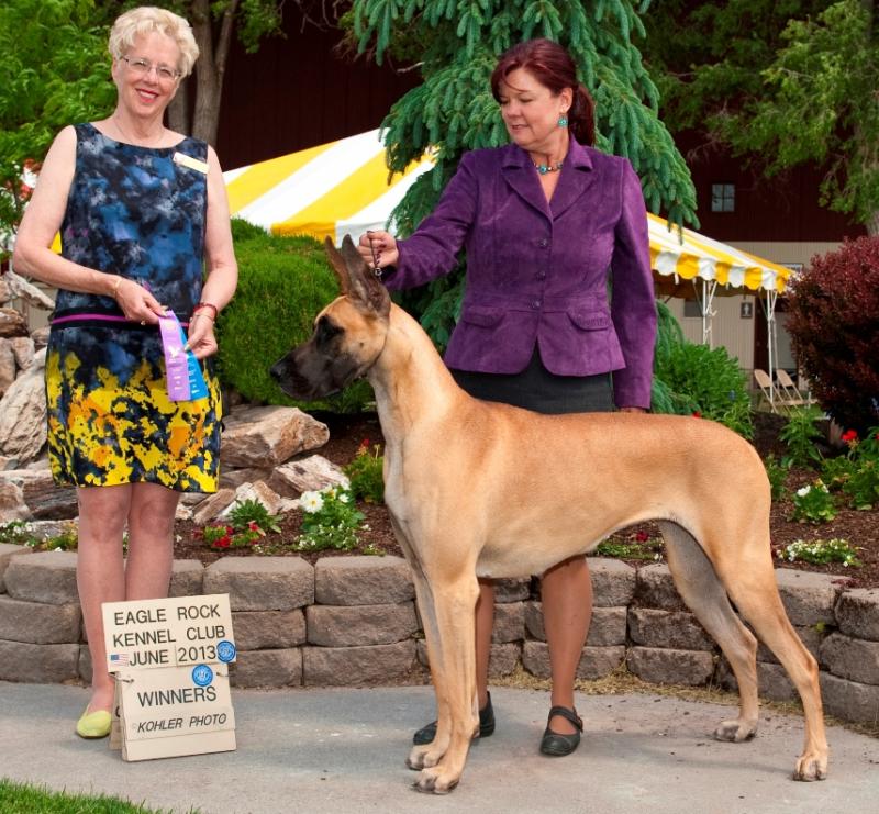Brindi Wins Big