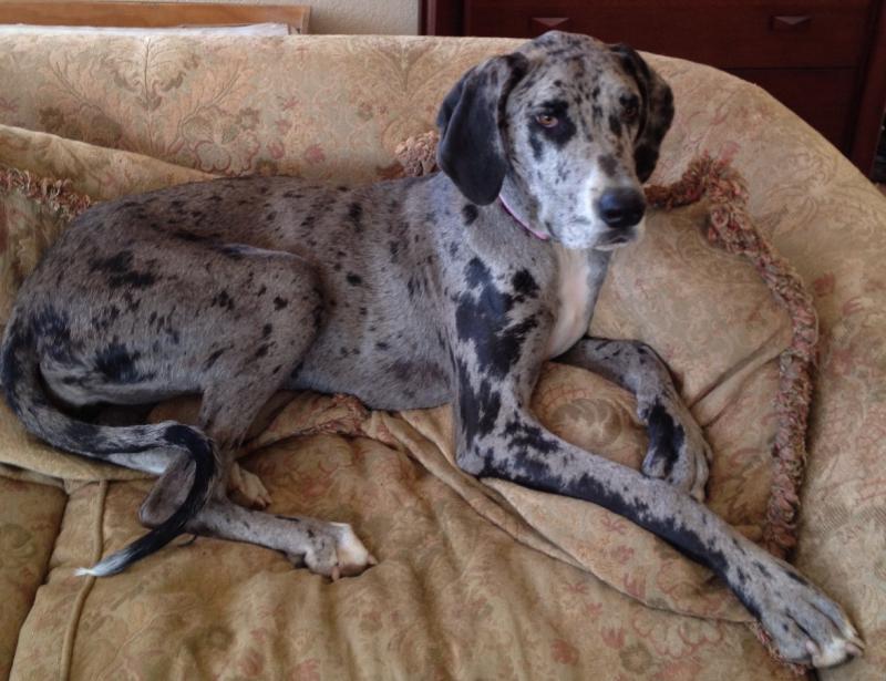 Pretty Young Kita