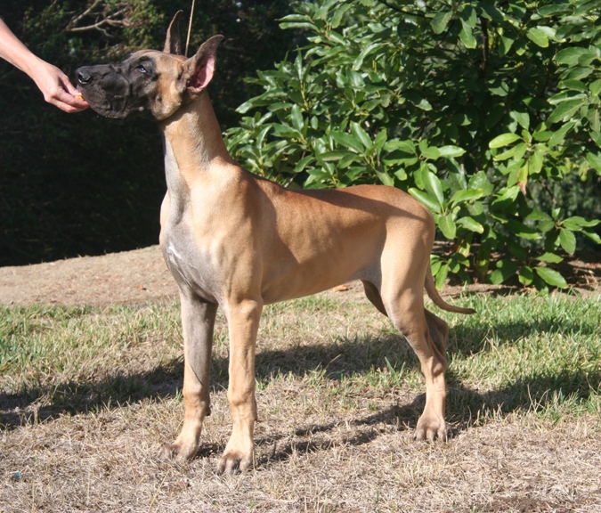 5 Months Old