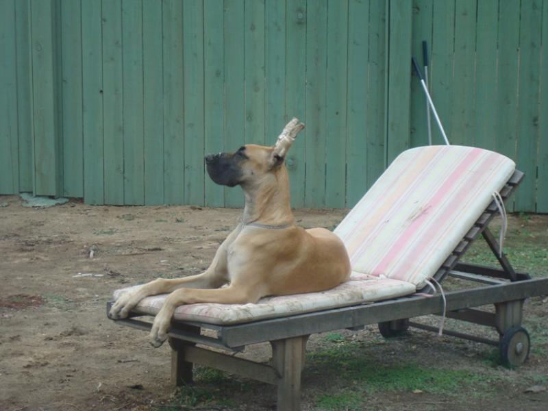 Sun Bathing