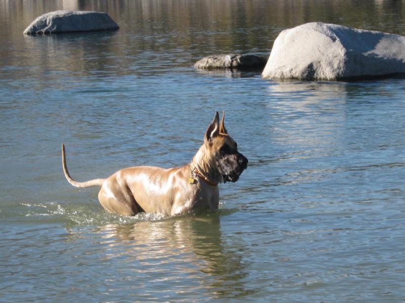 Swimming
