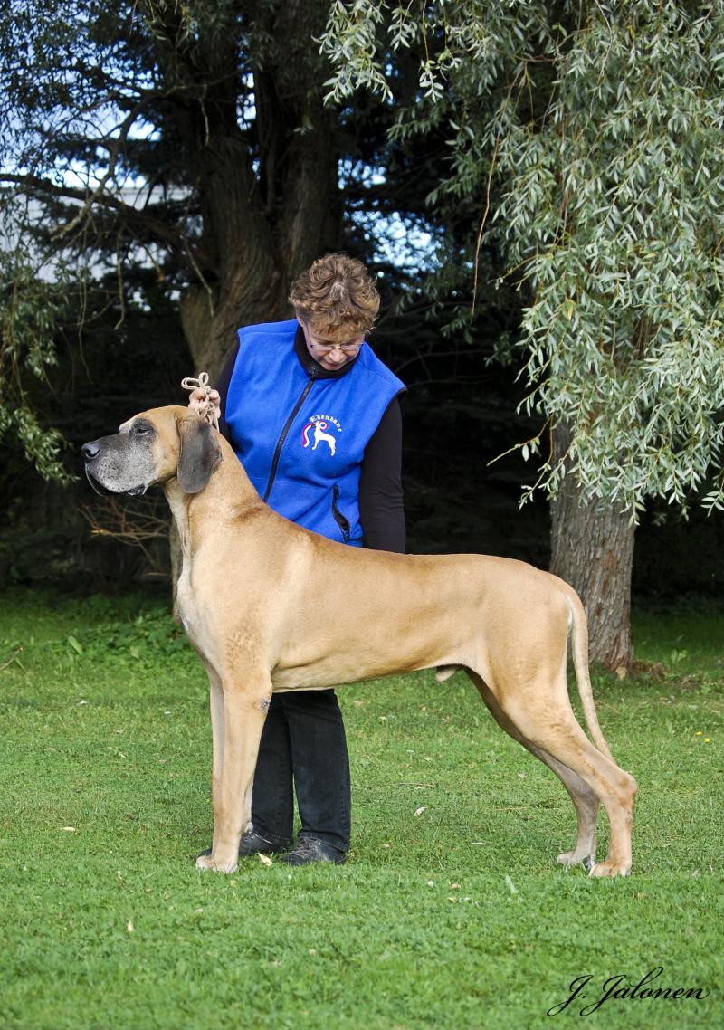 Sire