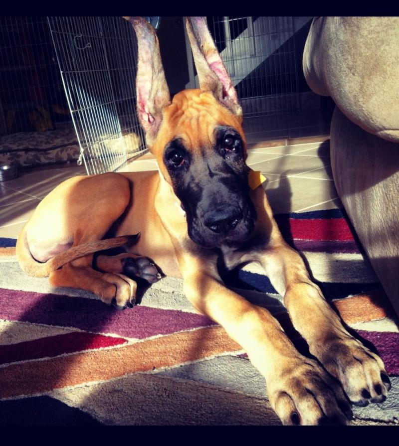 Baby Rome-3 months